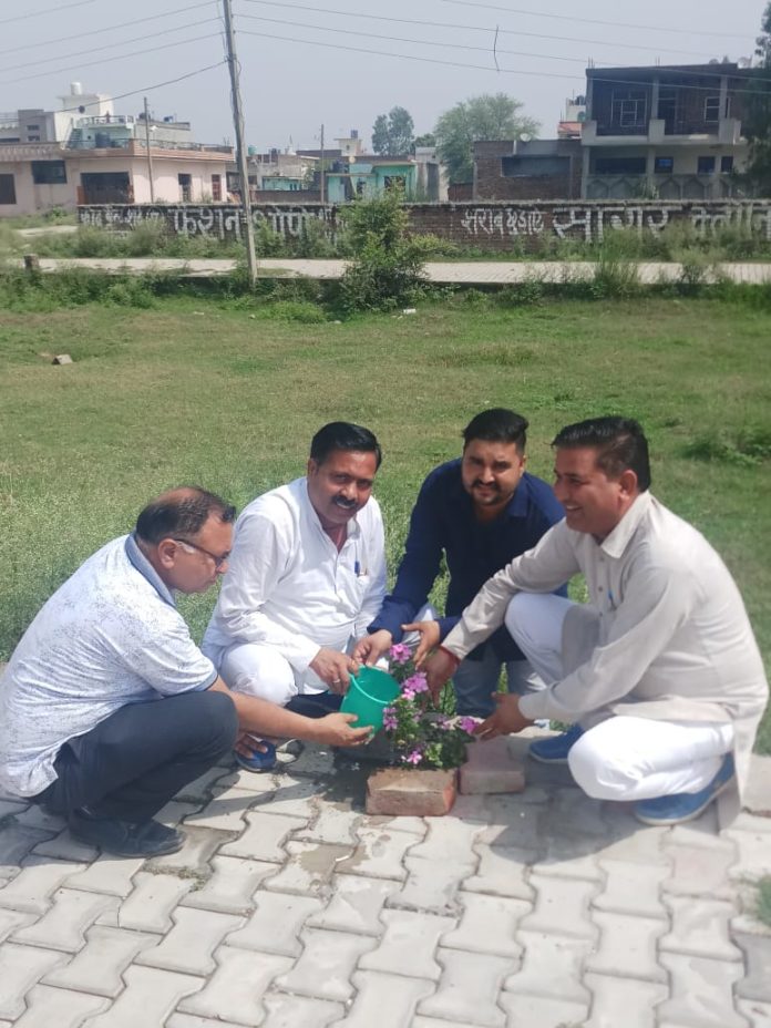 राहुल गांधी के जन्मदिन पर बिलासपुर में पौधारौपन