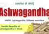 अश्वगंधा के फायदे