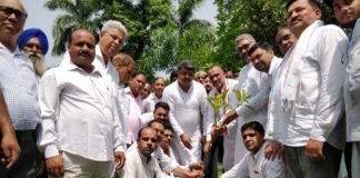 राहुल गांधी के जन्मदविस पर लगाया रूद्राक्ष का पेड, काटा केक यमुनानगर की नेहरू पार्क में रूद्राक्ष का पेड लगाकर मनाया राहुल का जन्मदिन