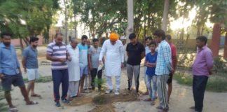 गांव चमरोडी व रादौरी में पौधारोपण, विधायक श्यामसिंह राणा ने भी लगाया पौधा यमुनानगर के गांव रादौरी में पौधारोपण करते विधायक श्यामसिंह राणा।