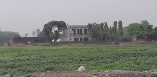 जठलाना की बदहाल सफाई व्यवस्था ने किया जीना मुहाल गंदगी से अटा पडा गांव जठलाना का जौहड।