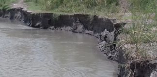 यमुना का जलस्तर बढा तो नदी में समाने लगी यमुना किनारे की जमीन……. यमुनानदी के किनोर होता भुमि कटाव।