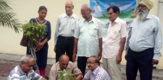 वन महोत्सव में वरिष्ठ नागरिकों ने किया पौधा रोपण शास्त्री कालोनी अपना पार्क में पौधा रोपण करते पदाधिकारी