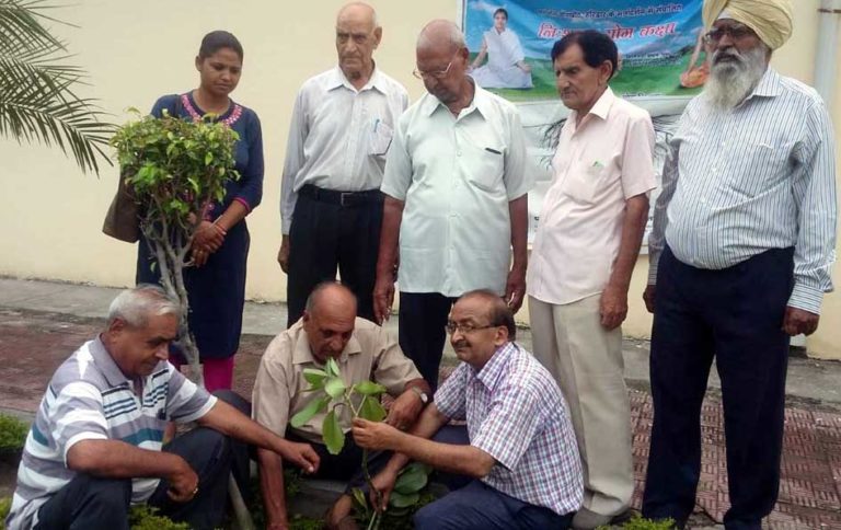 वन महोत्सव में वरिष्ठ नागरिकों ने किया पौधा रोपण