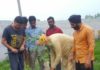 विधायक ने इंकलाब मंदिर में किया पौधारोपण इंकलाब मंदिर में पौधारोपण करते विधायक श्याम सिंह राणा