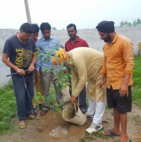 विधायक ने इंकलाब मंदिर में किया पौधारोपण