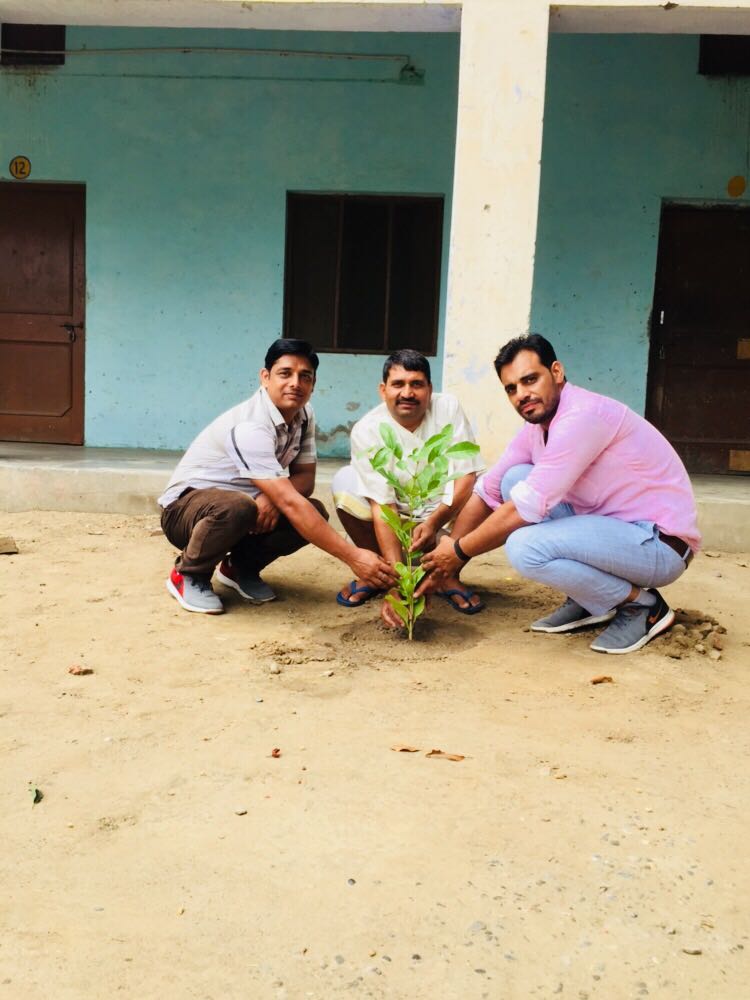 सरकारी स्कूल के बच्चों ने की पौधागिरी, गांव में लगाए 400 पौधे