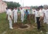 नौंवी वाहिनी रेलवे सुरक्षा विशेष बल में हुआ पौधारोपण yamunanagar hulchul tree plantation n jagadhri wokshop railway colony