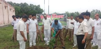 नौंवी वाहिनी रेलवे सुरक्षा विशेष बल में हुआ पौधारोपण yamunanagar hulchul tree plantation n jagadhri wokshop railway colony