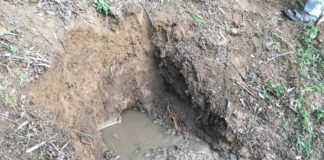 आवर्धन नहर हो गई लीक, नाचरौन में दो एकड खेत में घुसा पानी yamunanagar hulchal nahar