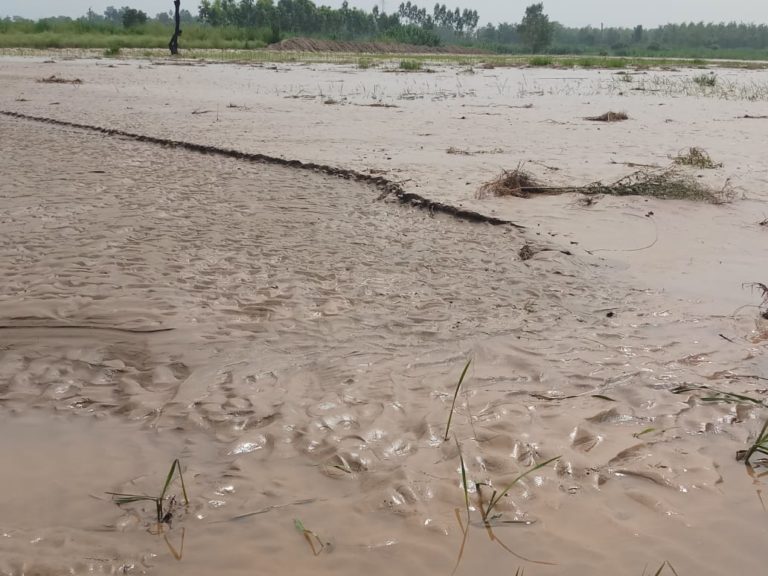 बाढ़ इफेक्‍ट : सोम का पानी उतरा पर नज़र आई रेत और गाद