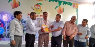 मैंगो मेले में क्षेत्रीय अनुसंधान केन्द्र बुडिया ने लपके चार ईनाम yamunanagar hulchul mango mela
