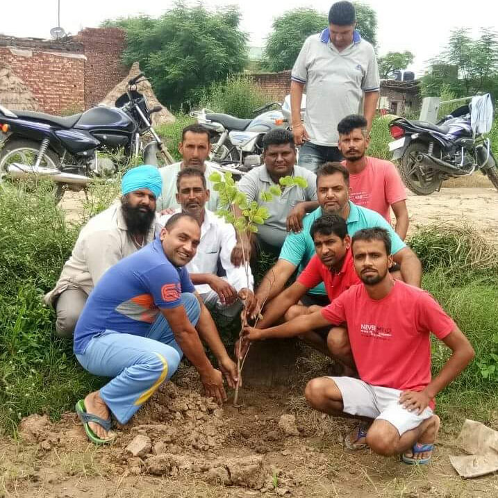 सढूरा में पौधारोपण कर शहीद उधमसिंह को दी श्रद़ांजलि