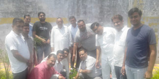 नगरपालिका रादौर ने मनाया वनमहोत्सव नगरपालिका रादौर में पौधारोपण करते नगरपार्षद व नपा अधिकारी।