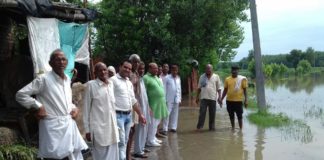 बाढ से किसानों को हुआ नुकसान : राजकुमार बुबका रादौर इनेलो हल्का प्रधान राजकुमार बुबका बाढ प्रभावित गांवों का दौरा कर जायजा लेते हुए।