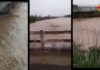 सोम नदी में उफान, पुल से छूकर गुजरा पानी yamunanagar hulchul__bilaspur mein sab pani pani news som nadi mein ufaan pull se hokar gujra pani