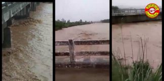 सोम नदी में उफान, पुल से छूकर गुजरा पानी yamunanagar hulchul__bilaspur mein sab pani pani news som nadi mein ufaan pull se hokar gujra pani