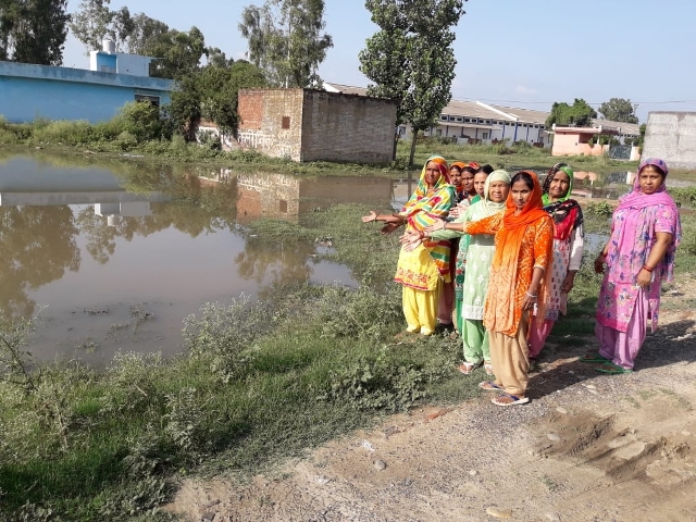 वेयरहाऊस काॅलोनी में हल्की बारिश में भी जमा हो जाता है पानी