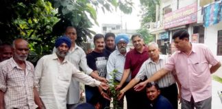 पर्यावरण बचाने के लिए आगे आई यमुना विहार रेसिडेंट वेलफेयर एसोशिएशन, की पौधागिरी