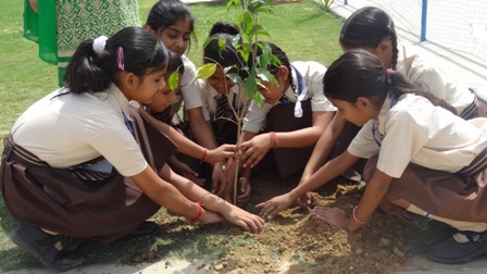 होली मदर पब्लिक स्कूल के बच्‍चों ने निकाली जागरूकता रैली