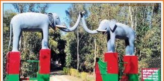 बन संतौर, कलेसर Ban-Santur-Kalesar-Bansantur-Chhachhrauli-Raja-Shantnu-Kalesar-National-Park-Places-in-Yamunanagar-to-Visit-Haryana-Tourisam