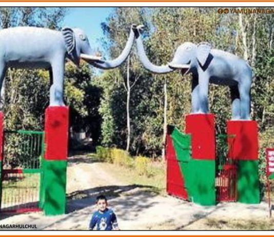 बन संतौर, कलेसर Ban-Santur-Kalesar-Bansantur-Chhachhrauli-Raja-Shantnu-Kalesar-National-Park-Places-in-Yamunanagar-to-Visit-Haryana-Tourisam