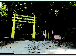 कलेसर नैशनल पार्क Kalesar-National-Park-Kalesar-Places-in-Yamunanagar-to-Visit-Haryana-Tourism