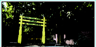 कलेसर नैशनल पार्क Kalesar-National-Park-Kalesar-Places-in-Yamunanagar-to-Visit-Haryana-Tourism