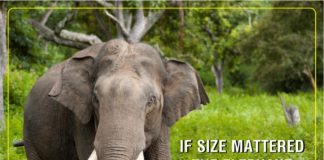 Good Quote Quote Yamunanagar Hulchul (यमुनानगर हलचल)