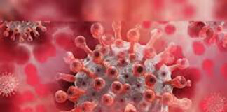 Yamunanagar : जिला में रात 11 से सुबह 5 बजे तक नाइट कफ्र्यू लागू #YamunanagarHulchul, #यमुनानगरहलचल, Yamunanagar Hulchul, Rewari, Corona virus,