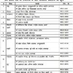 Jannayak Janta Party