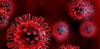 Yamunanagar : जिले में कोरोना के 124 सक्रिय मरीज Corona Virus Logo, Yamunanagar, yamunanagar hulchul, digital yamunanagar, yamunanagar, yamunanagar news, district yamunanagar