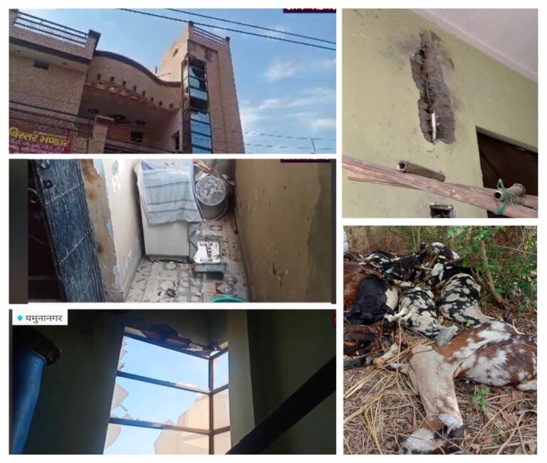 Yamunanagar : आसमानी बिजली गिरने से घर की दीवार टूटी व बिजली के उपकरण जले, 22 बकरियां मरी