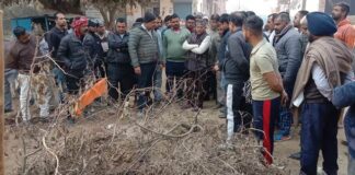 Yamunanagar : मेयर ने किया दड़वा डेयरी कॉम्पलेक्स का दौरा Yamunanagar, Yamunanagar Hulchul