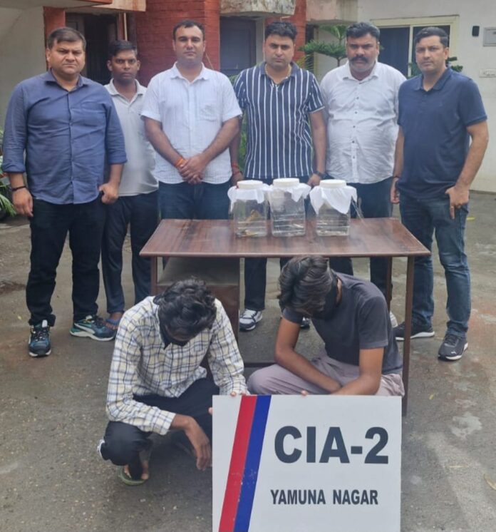 yamunanagar hulchul yamunanagar police