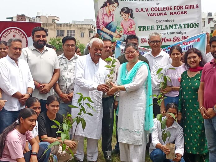 tree plantation in dav girls college yamunanagar