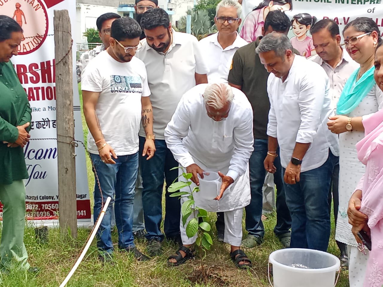 Tree Plantation in DAV Girls College Yamunanagar