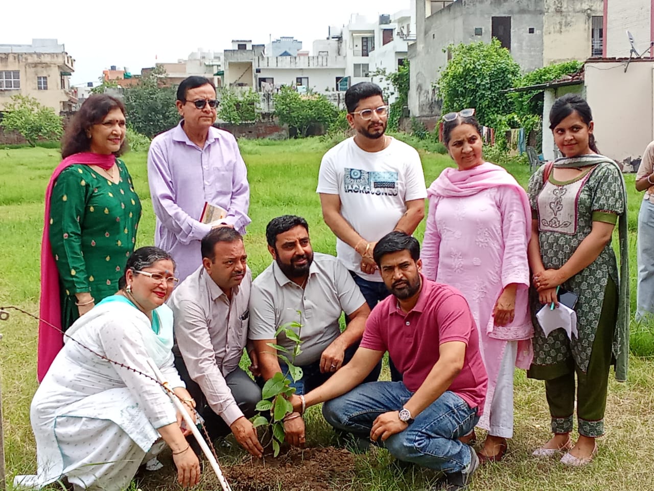 tree plantation in dav girls college yamunanagar