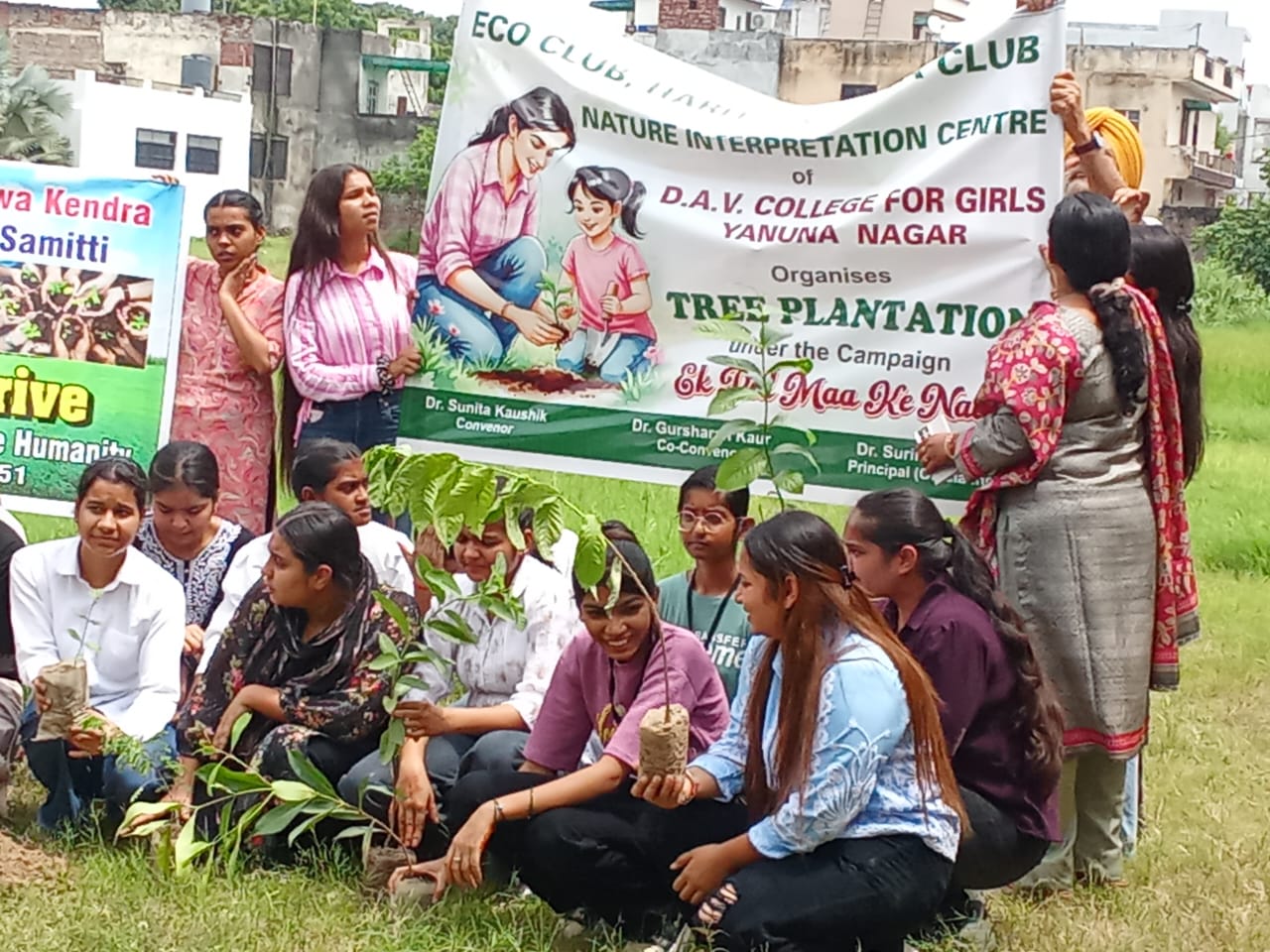 tree plantation in dav girls college yamunanagar