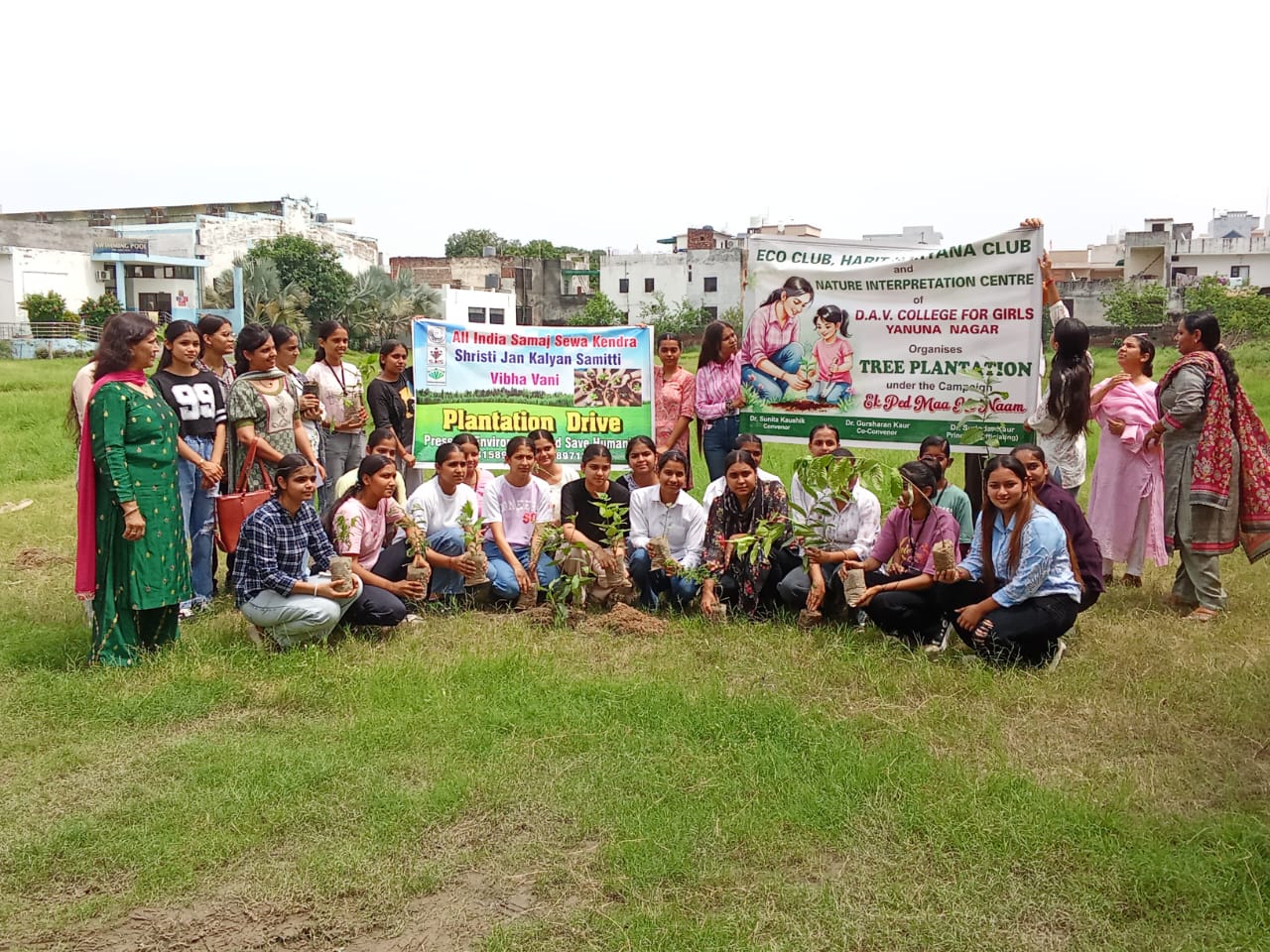 tree plantation in dav girls college yamunanagar