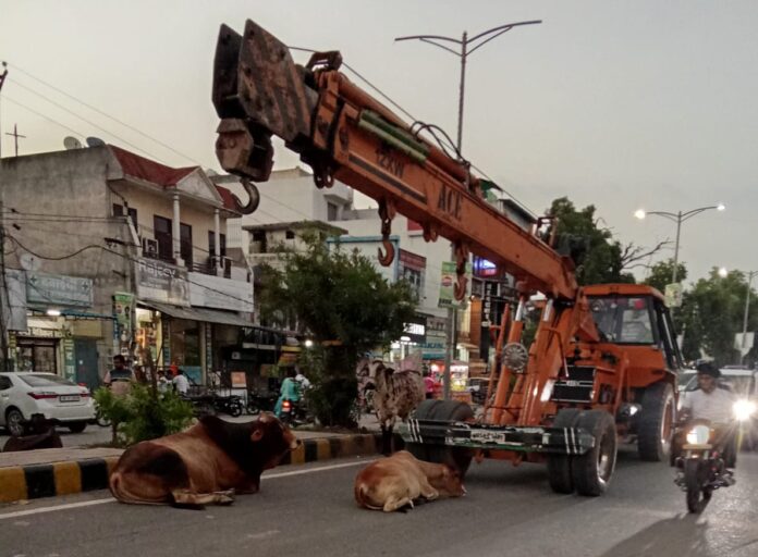 barara news by shine bhatia