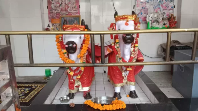 kapal mochan teerath Gau Vacha Temple Yamunanagar Hulchul
